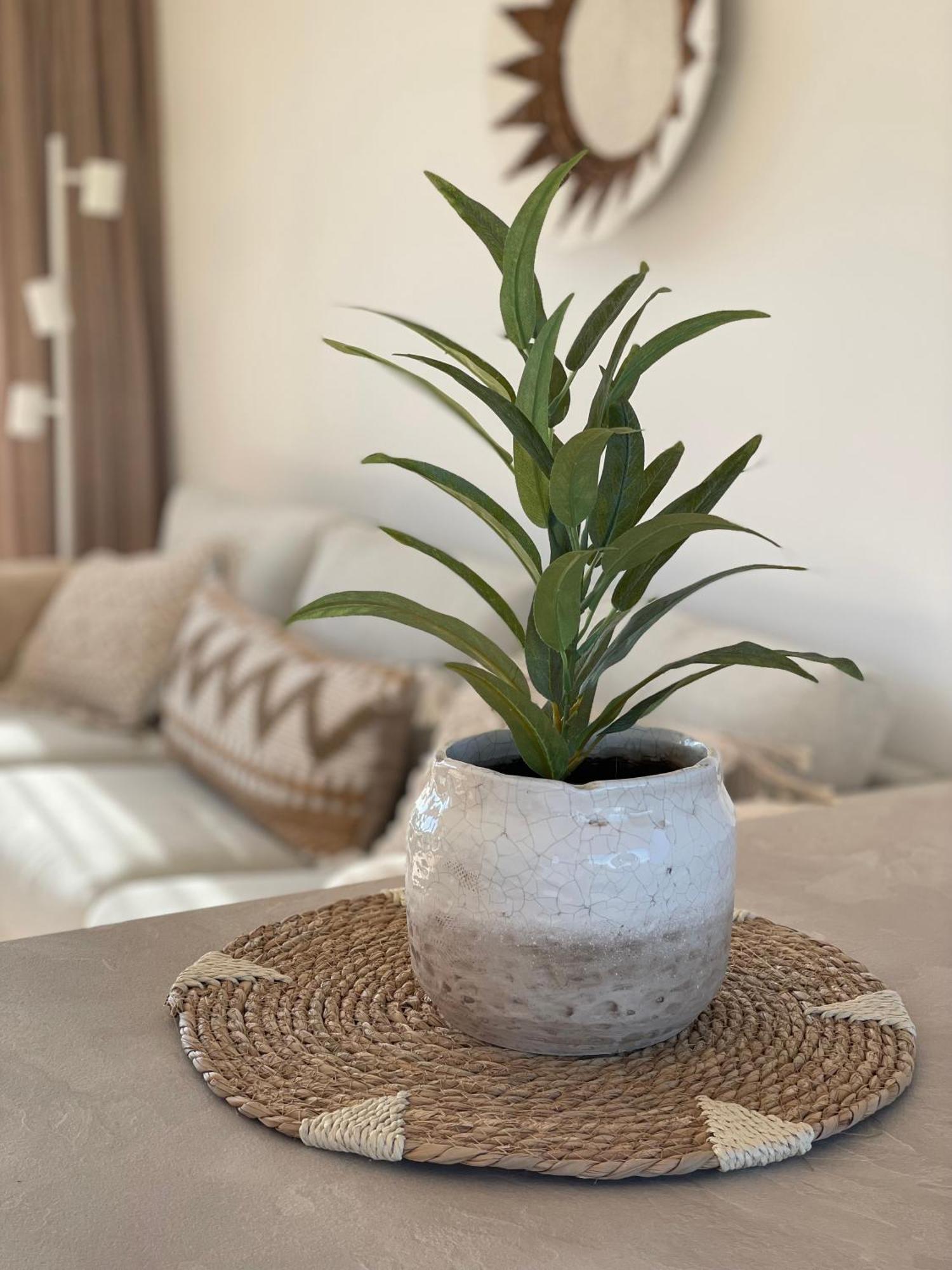 Appartementen Sonnenhof เดอ คุก ภายนอก รูปภาพ